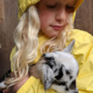 Meet your Posher, Darcy